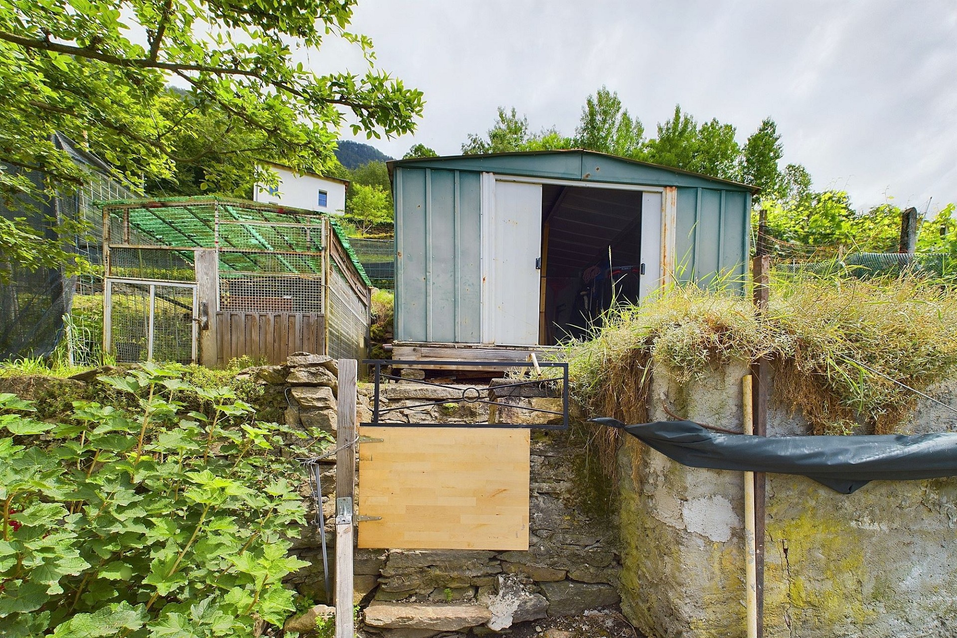 Gartenschuppen mit Hanglage und Vegetation