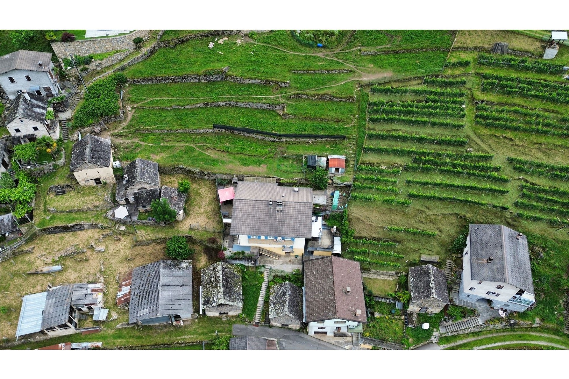 Luftaufnahme eines ländlichen Hangdorfs mit Terrassen und Weinbergen