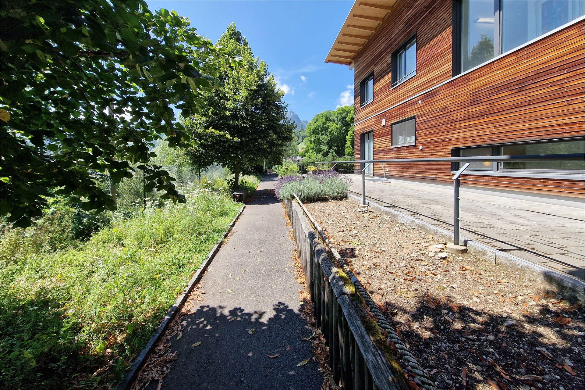 Moderne Holzfassade mit Gartenweg