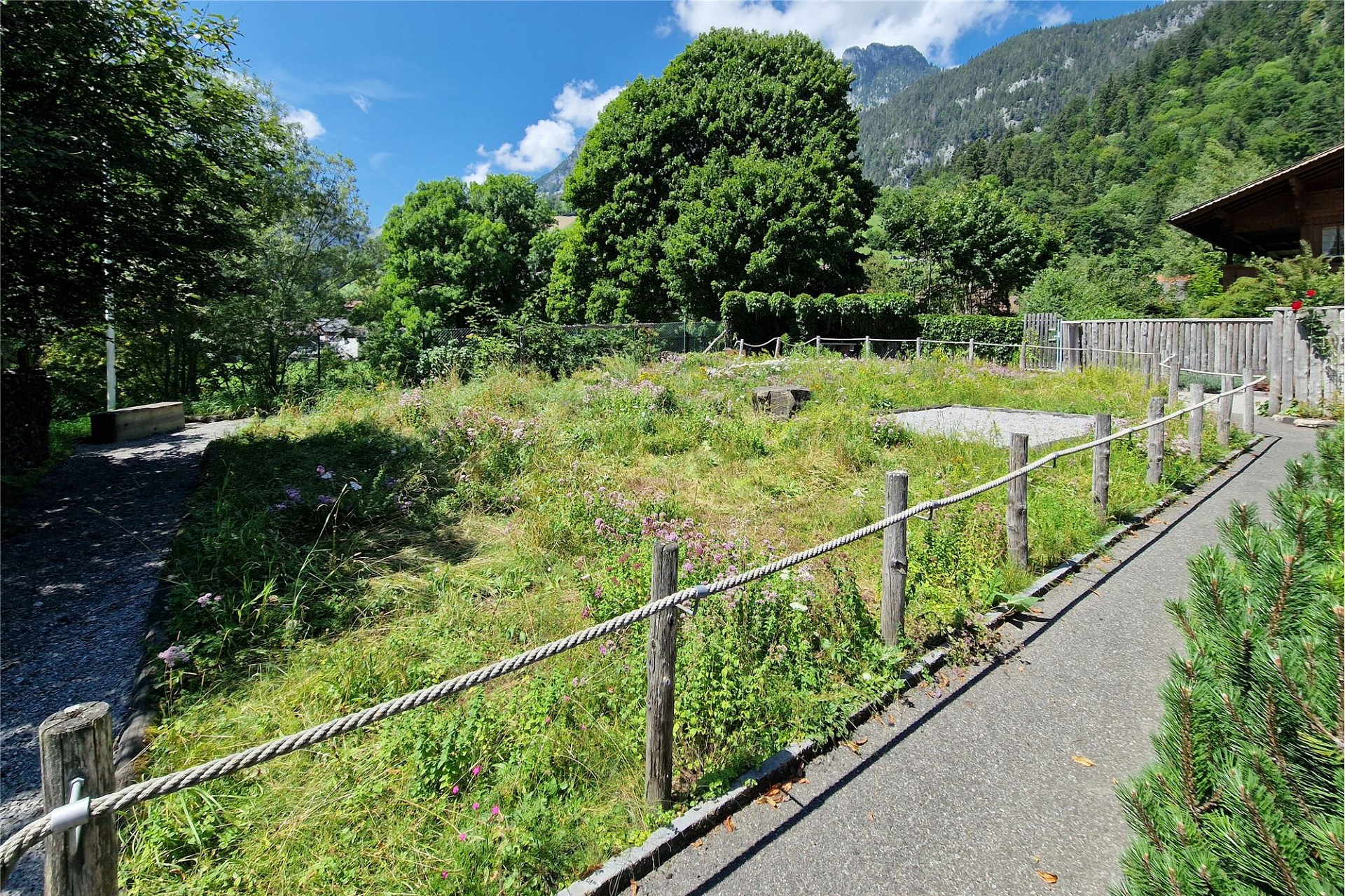 Alpiner Garten mit Bergblick