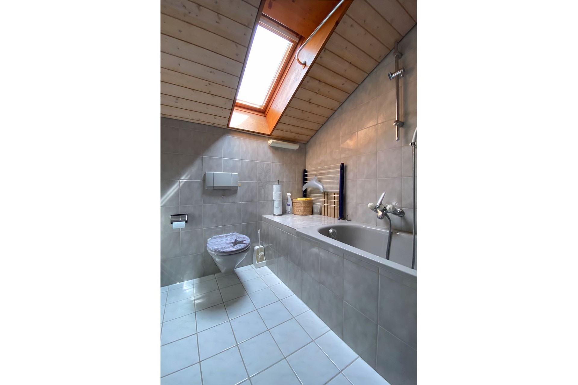 Badezimmer mit Dachfenster