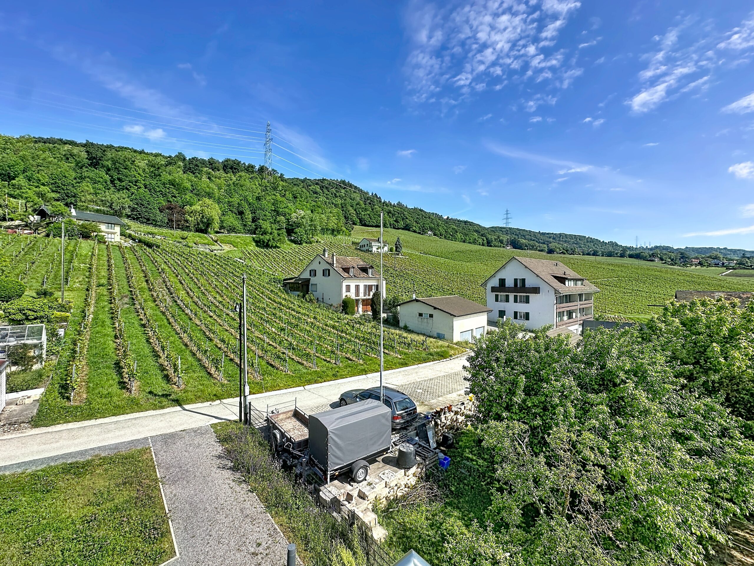Weinberglandschaft mit Wohnhäusern
