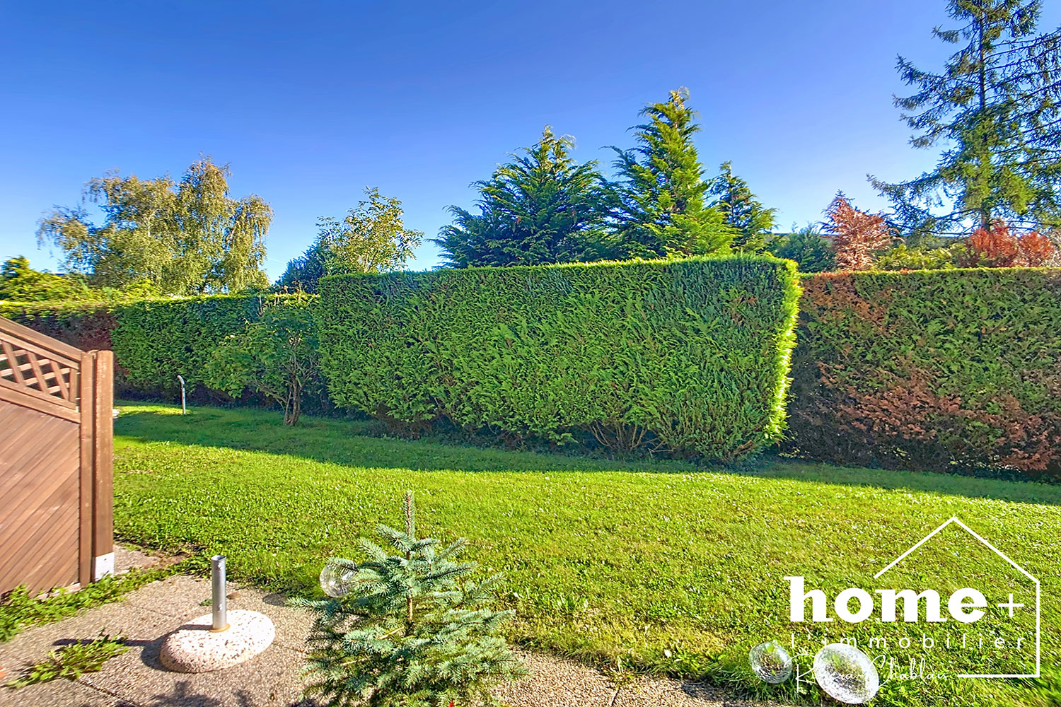 Garten mit Hecken und Rasen