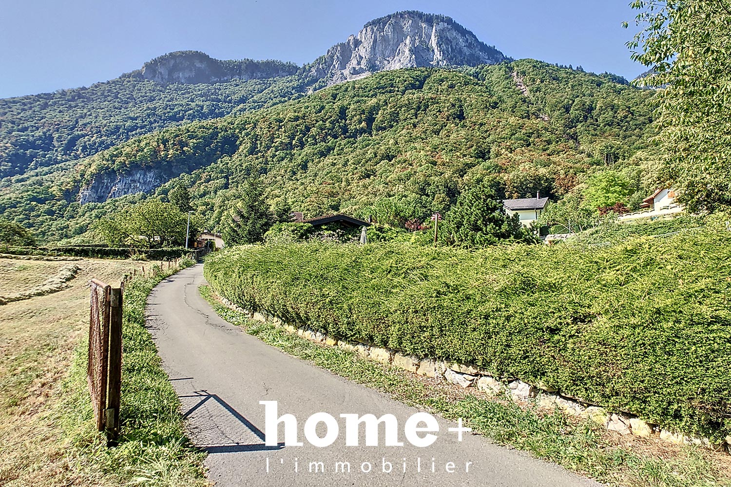 Ländliche Berglandschaft mit Zufahrtsweg