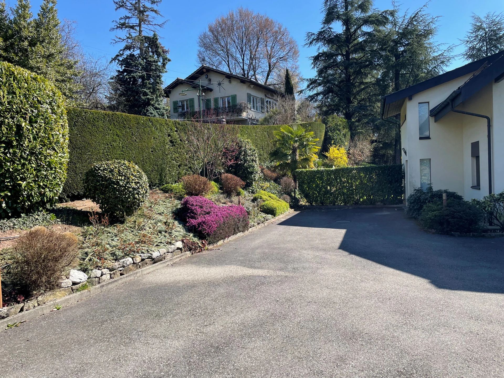 Einfahrt mit Garten und Wohnhäusern