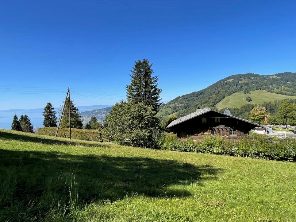 Alpenlandschaft mit Chalet und Wiese