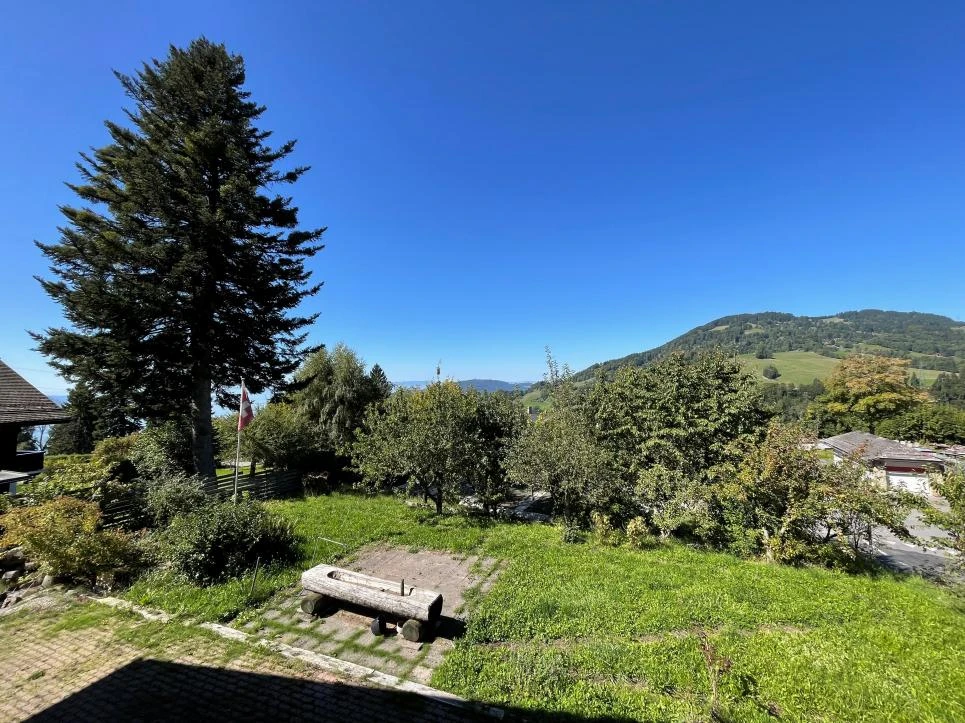Gartenblick mit Bergkulisse