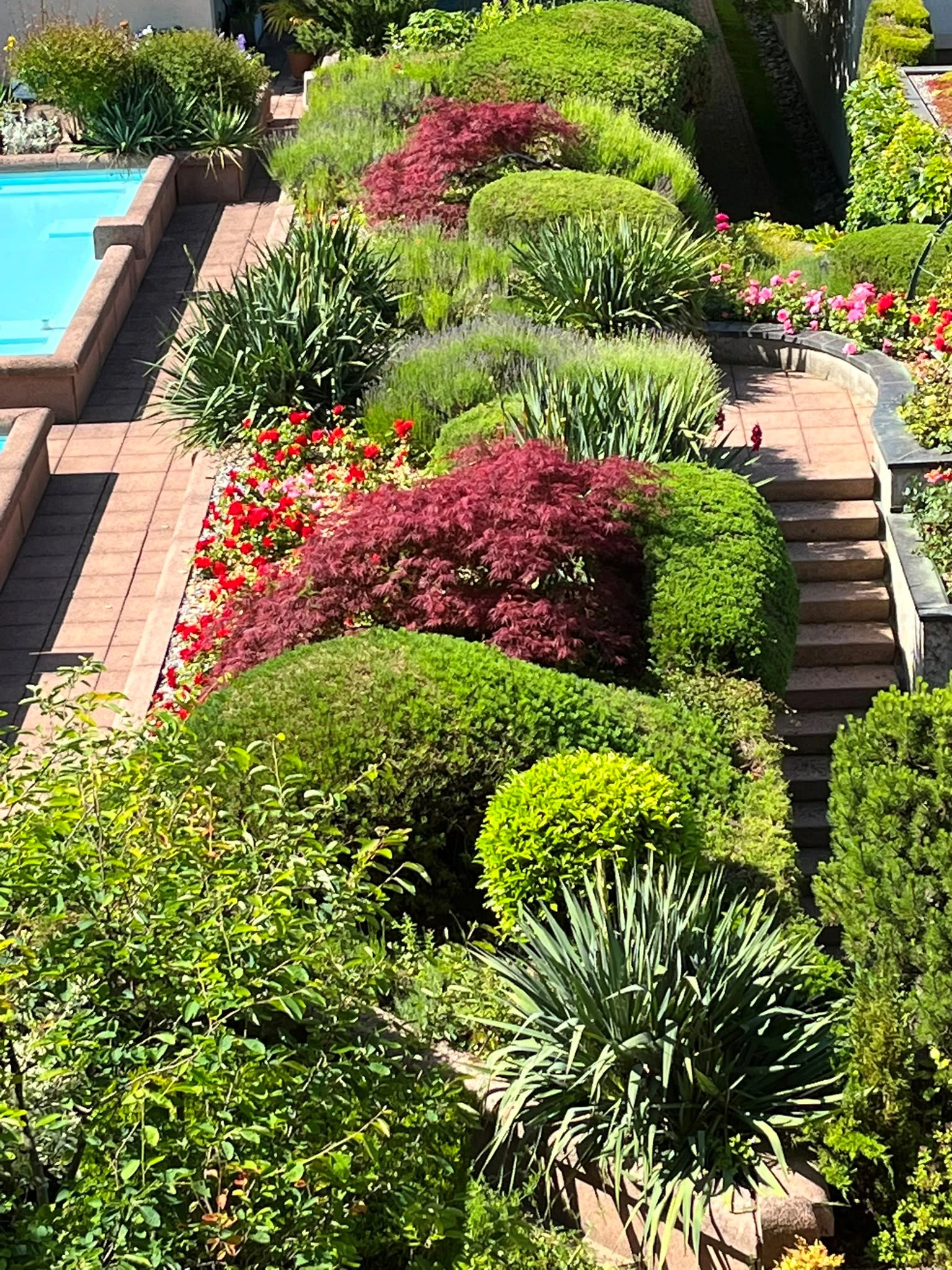 Terrassengarten mit Pool und üppiger Bepflanzung