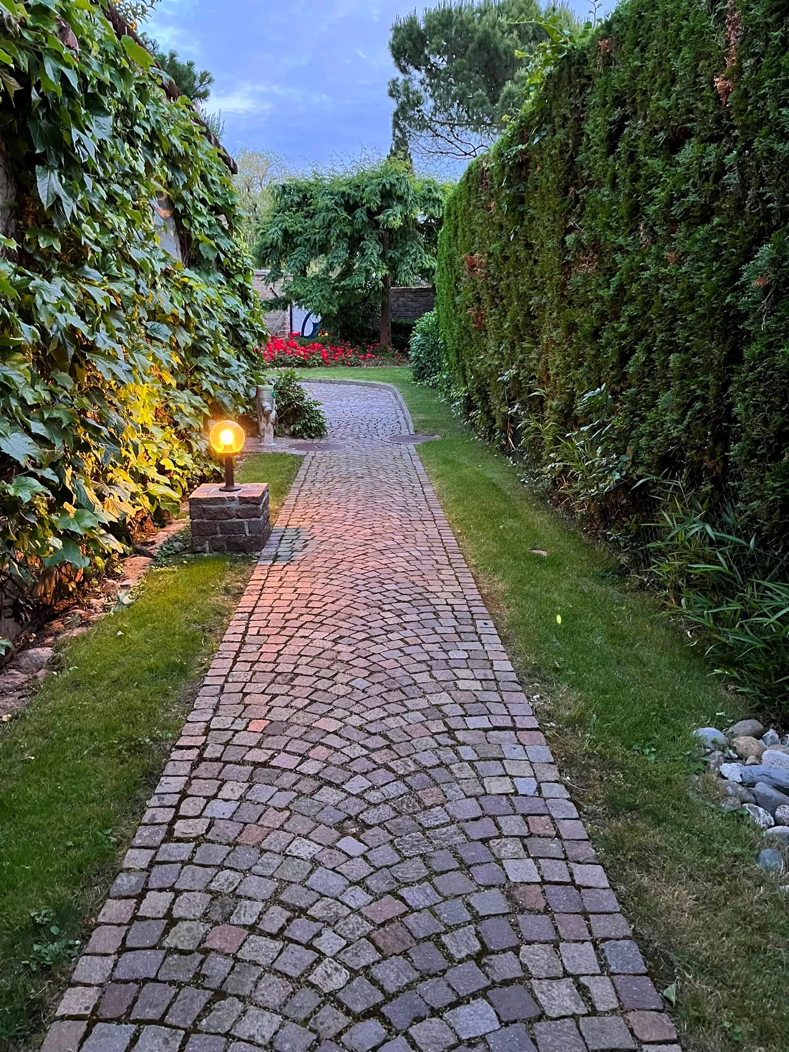 Gepflasterter Gartenweg zwischen hohen Hecken