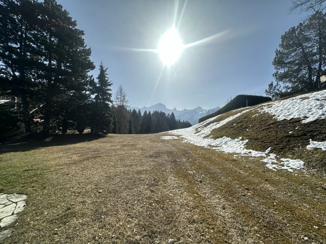 Schneebedeckte Hangwiese mit Bergblick