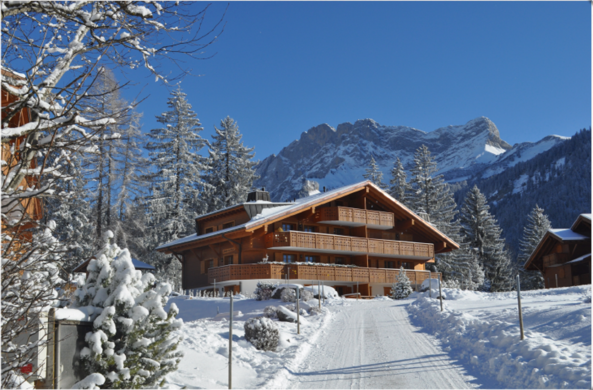 Alpenchalet im Schnee