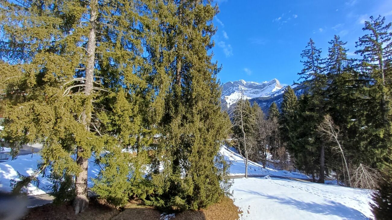 Alpenlandschaft mit verschneitem Garten