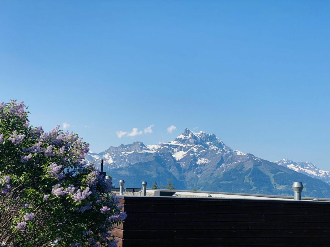Bergblick mit blühendem Strauch und Dachkante