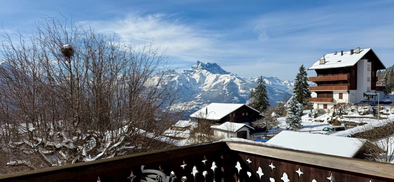 Schneebedeckte Alpenlage mit Bergblick