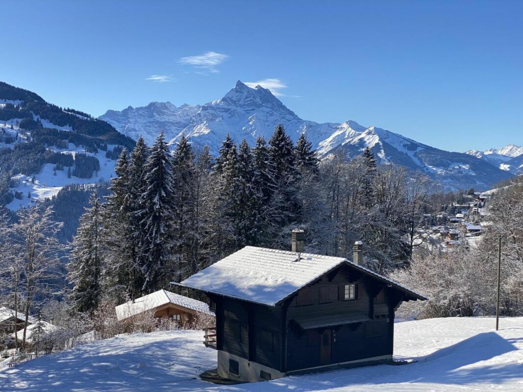 Schneebedecktes Chalet mit Bergpanorama