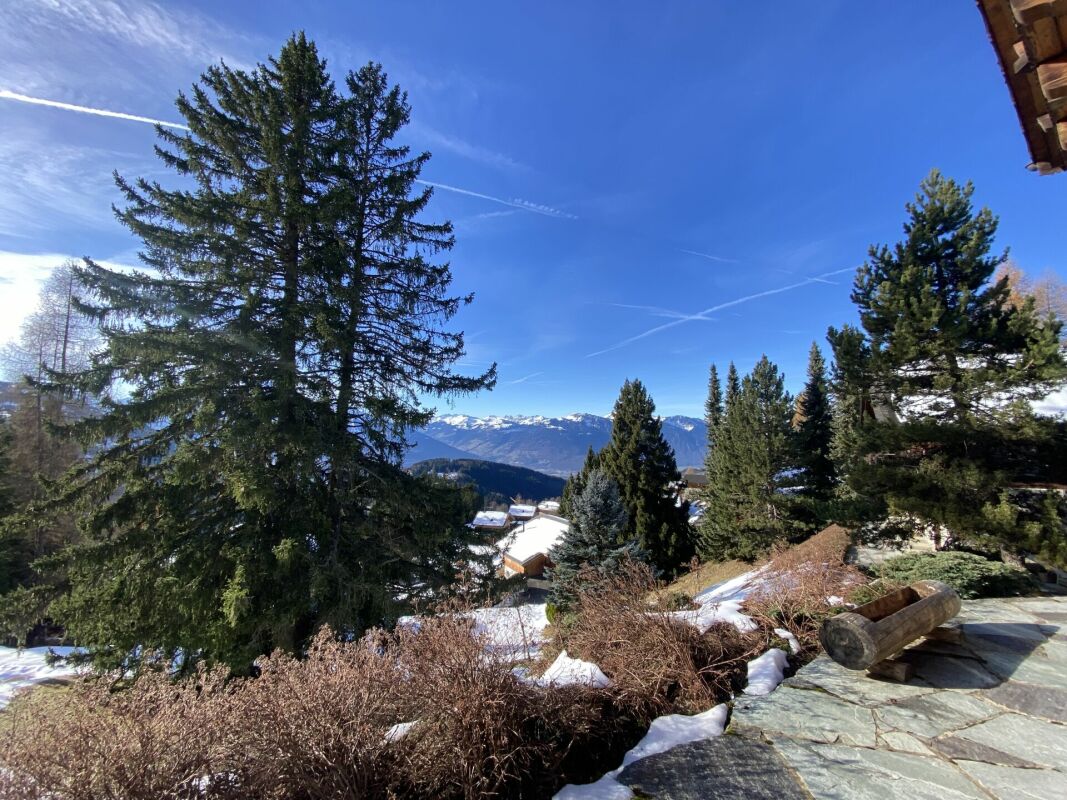 Alpenblick mit Tannen und Terrasse