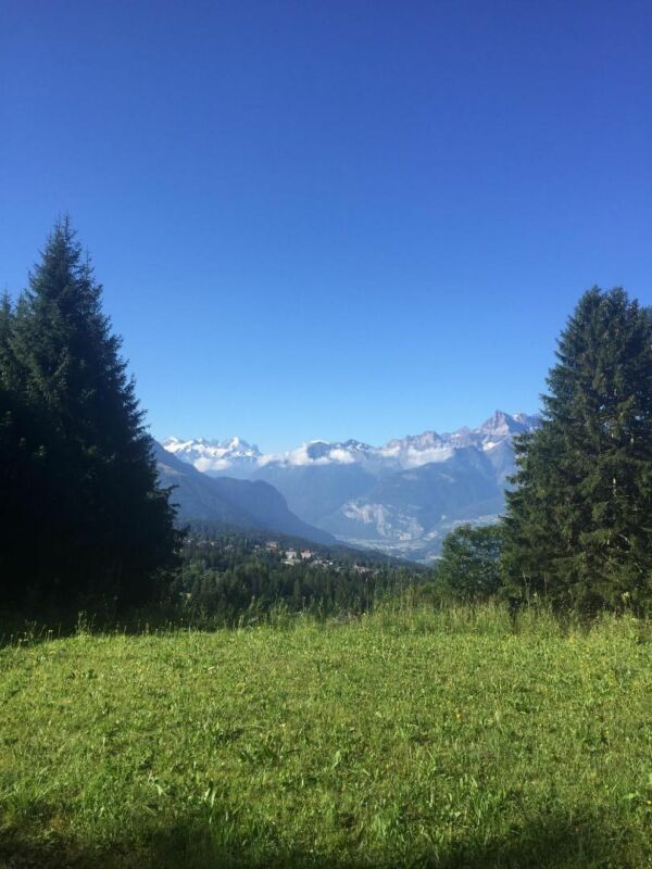 Alpine Wiese mit Bergpanorama