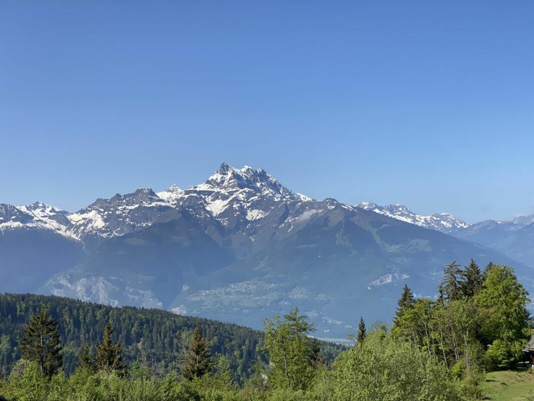 Alpenpanorama mit schneebedecktem Berg