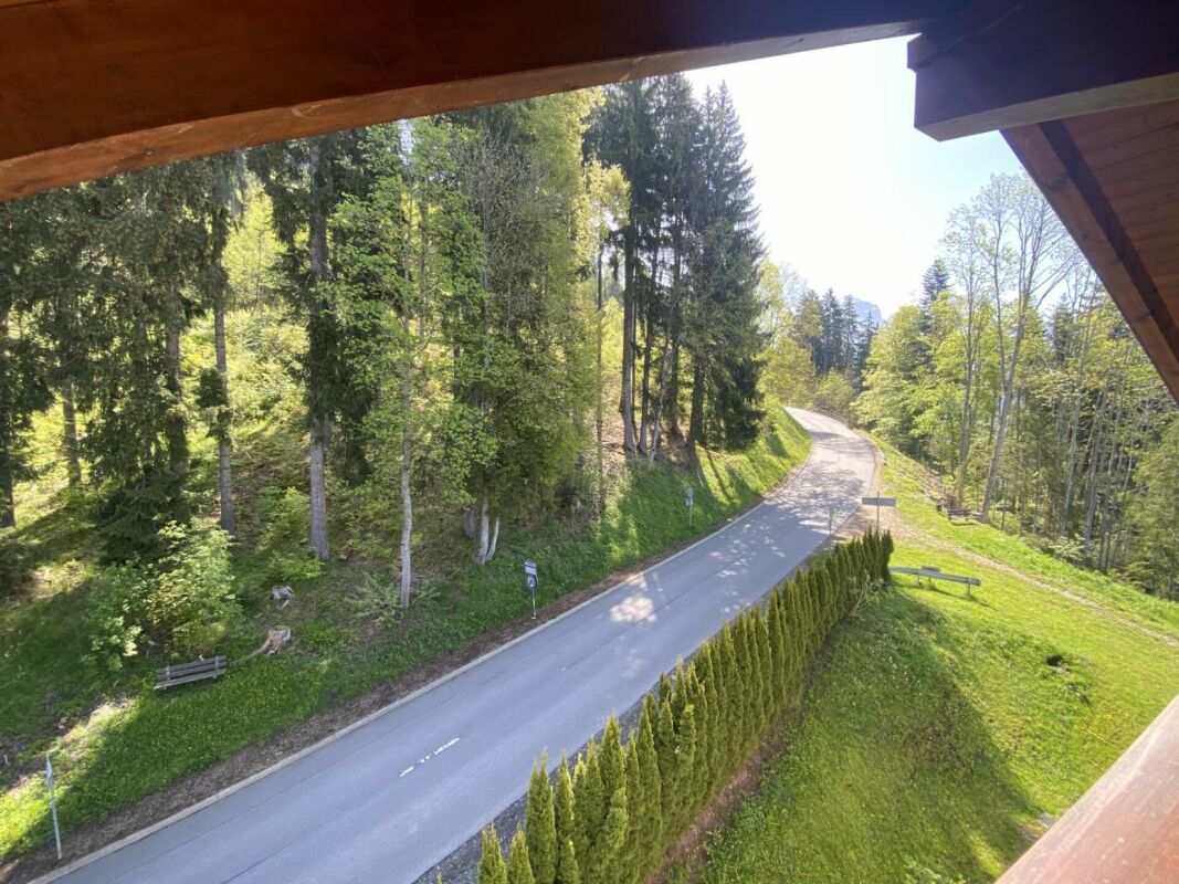 Blick ins Grüne von einem Gebäude aus