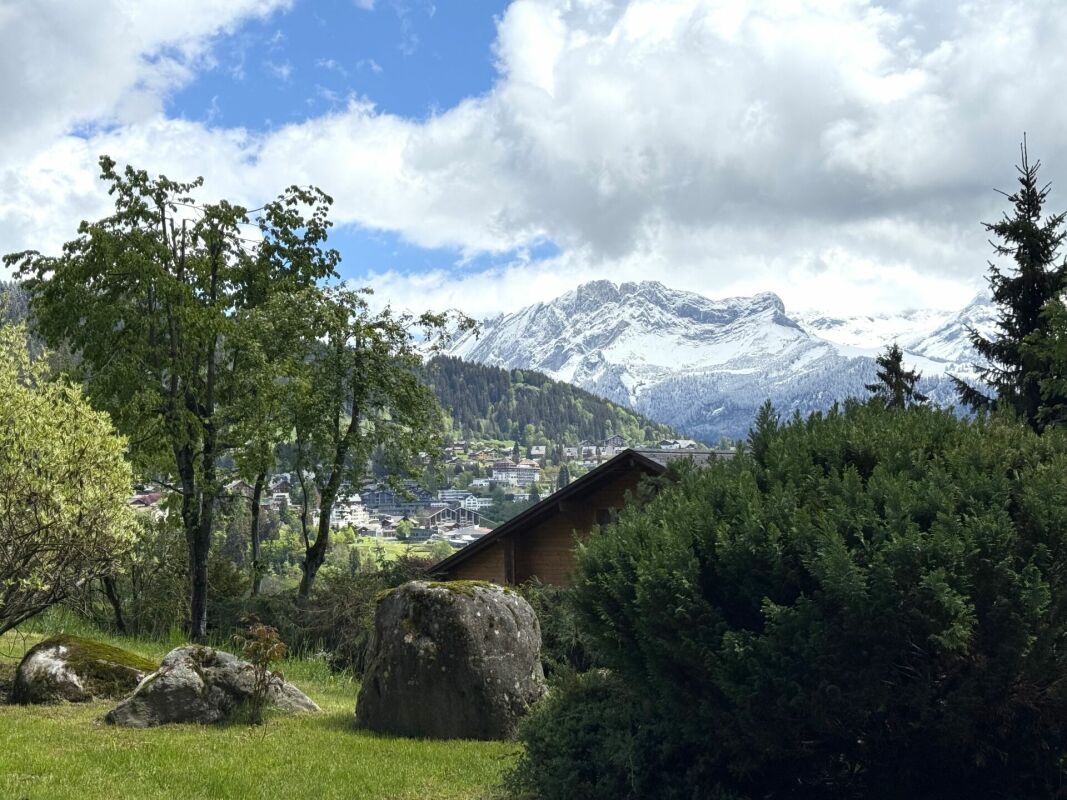 Bergblick mit Garten und Dorf