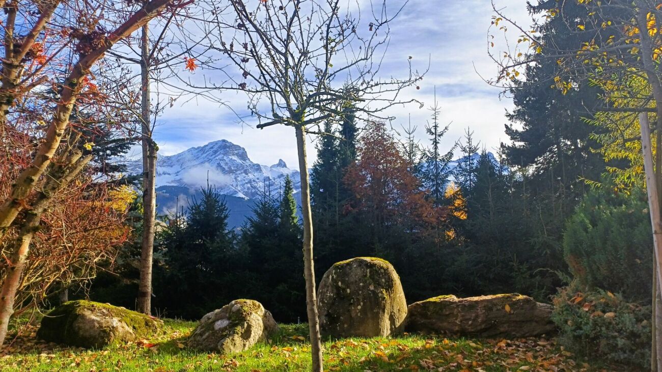 Bergblick aus einem Garten