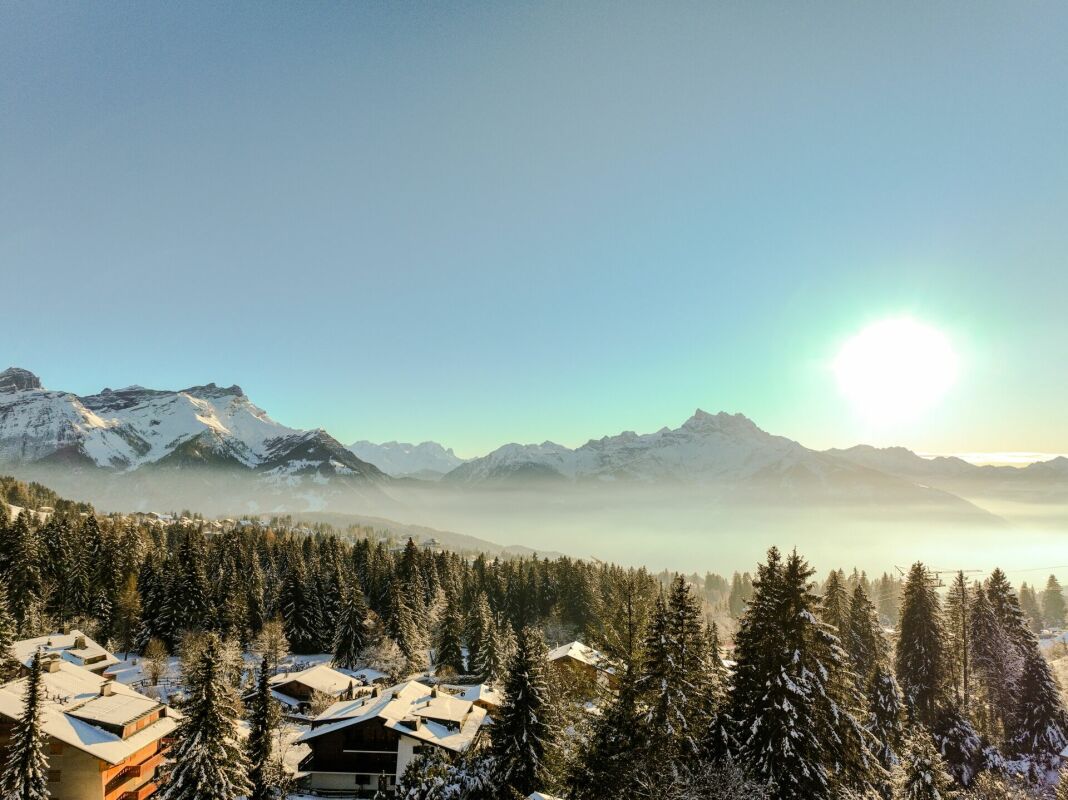 Bergpanorama mit verschneitem Wald und Siedlung