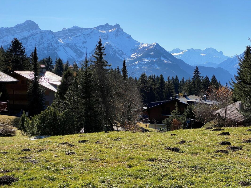 Alpenlandschaft mit Berghütten