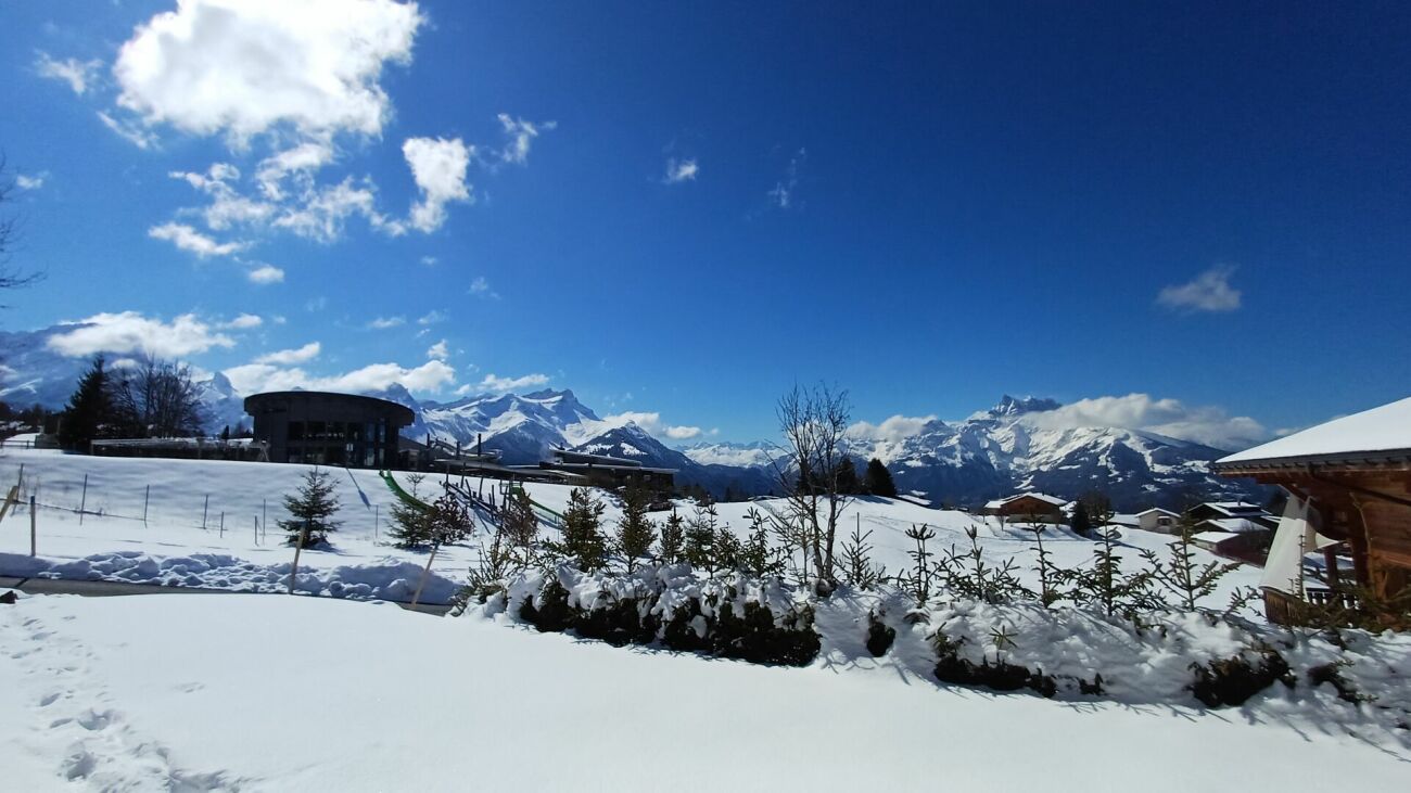 Schneelandschaft mit Bergpanorama
