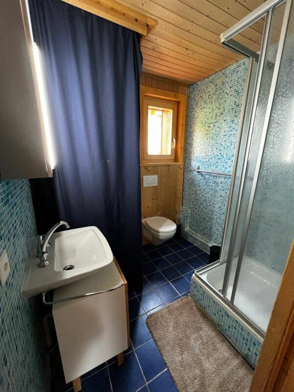Kleines Badezimmer mit Dusche und WC