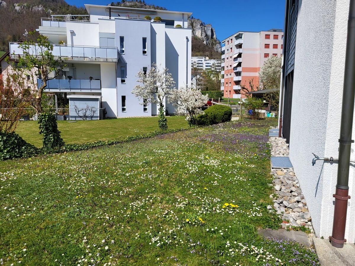 Wohnanlage mit Garten und Blick auf Berge