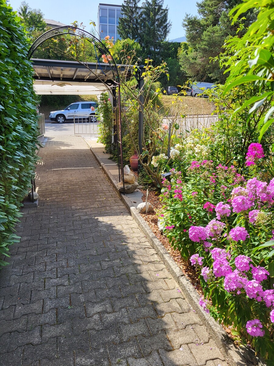 Zufahrt mit Blumenbogen und Gartenweg