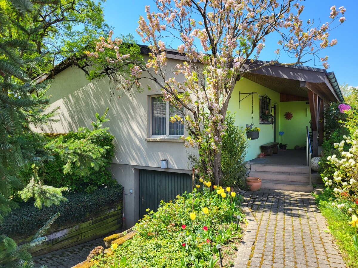Eingangsbereich eines Hauses mit Garten