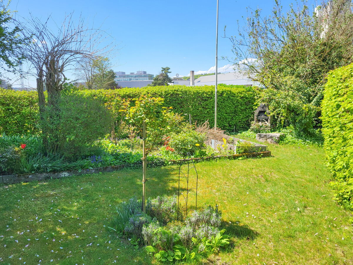 Gepflegter Garten mit Rasen und Bepflanzung