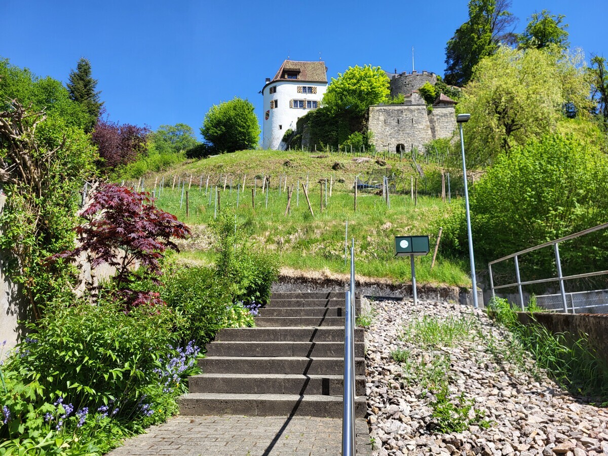 Historische Anlage auf grünem Hügel