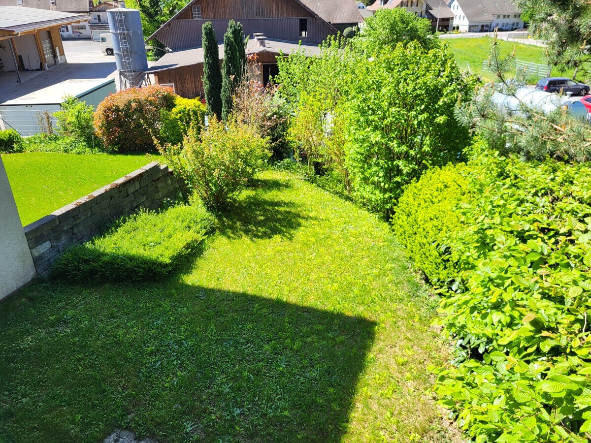 Gepflegter Gartenhang mit Blick auf Nachbarbebauung