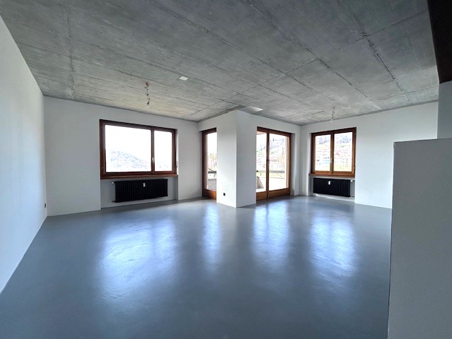 Großer leerer Wohnraum mit Beton-Decke und Holzfenstern