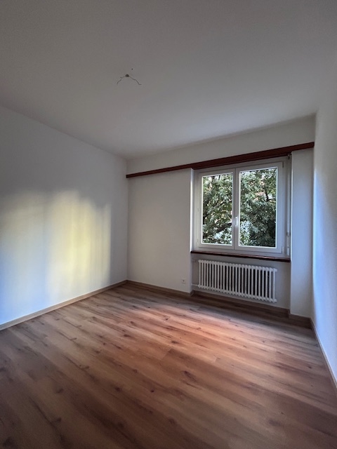 Leerer heller Wohnraum mit Fenster