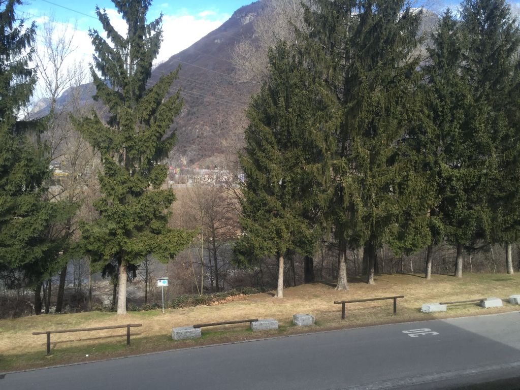 Berglandschaft mit Straße und Bäumen