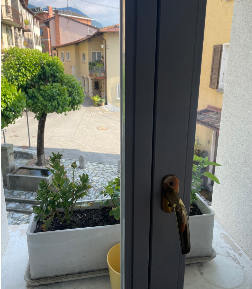 Blick vom Fenster auf eine ruhige Wohnstraße