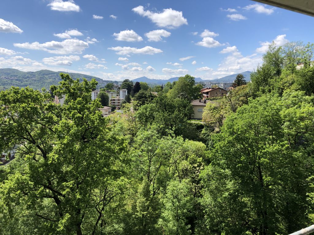 Grüne Hanglage mit Bergblick