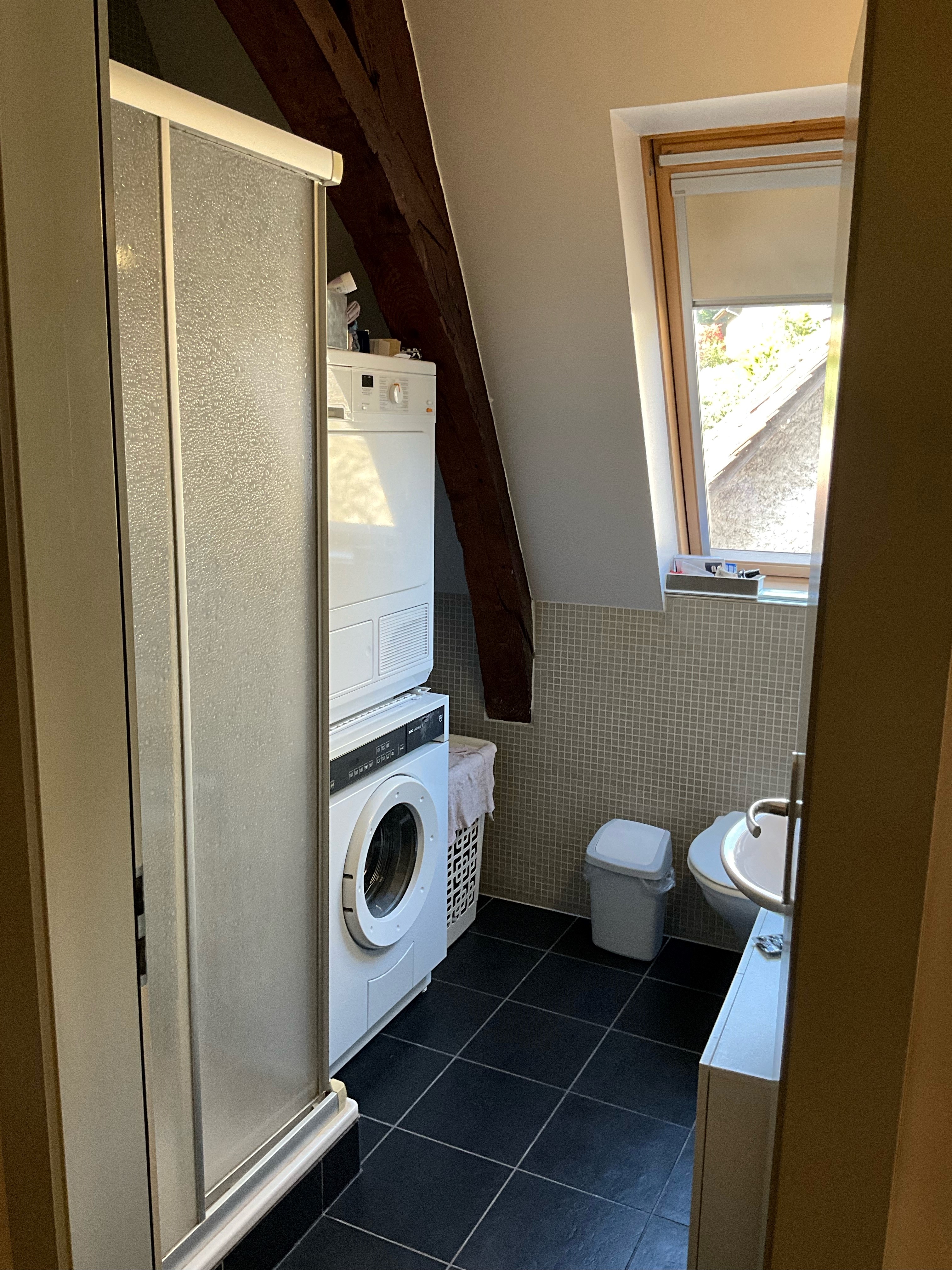 Badezimmer mit Waschmaschine und Dachfenster