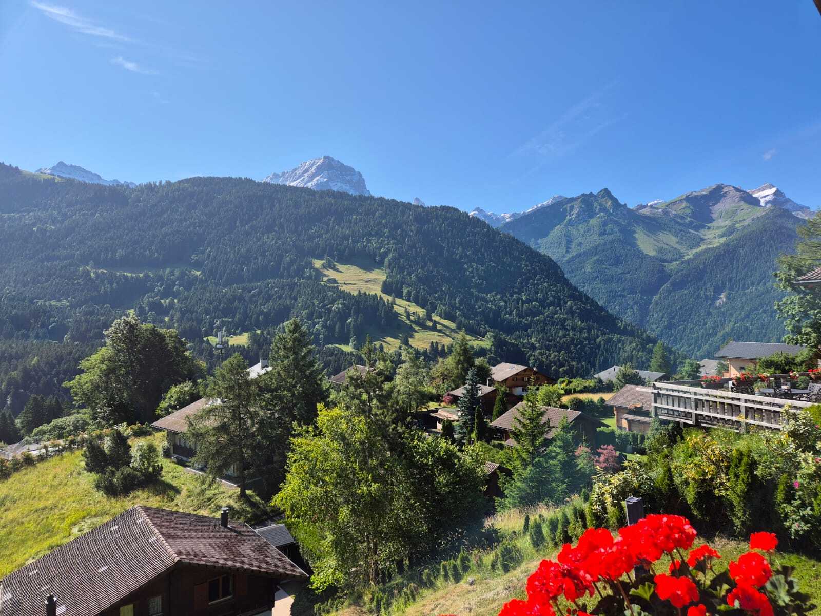 Alpenpanorama mit Häusern und Garten