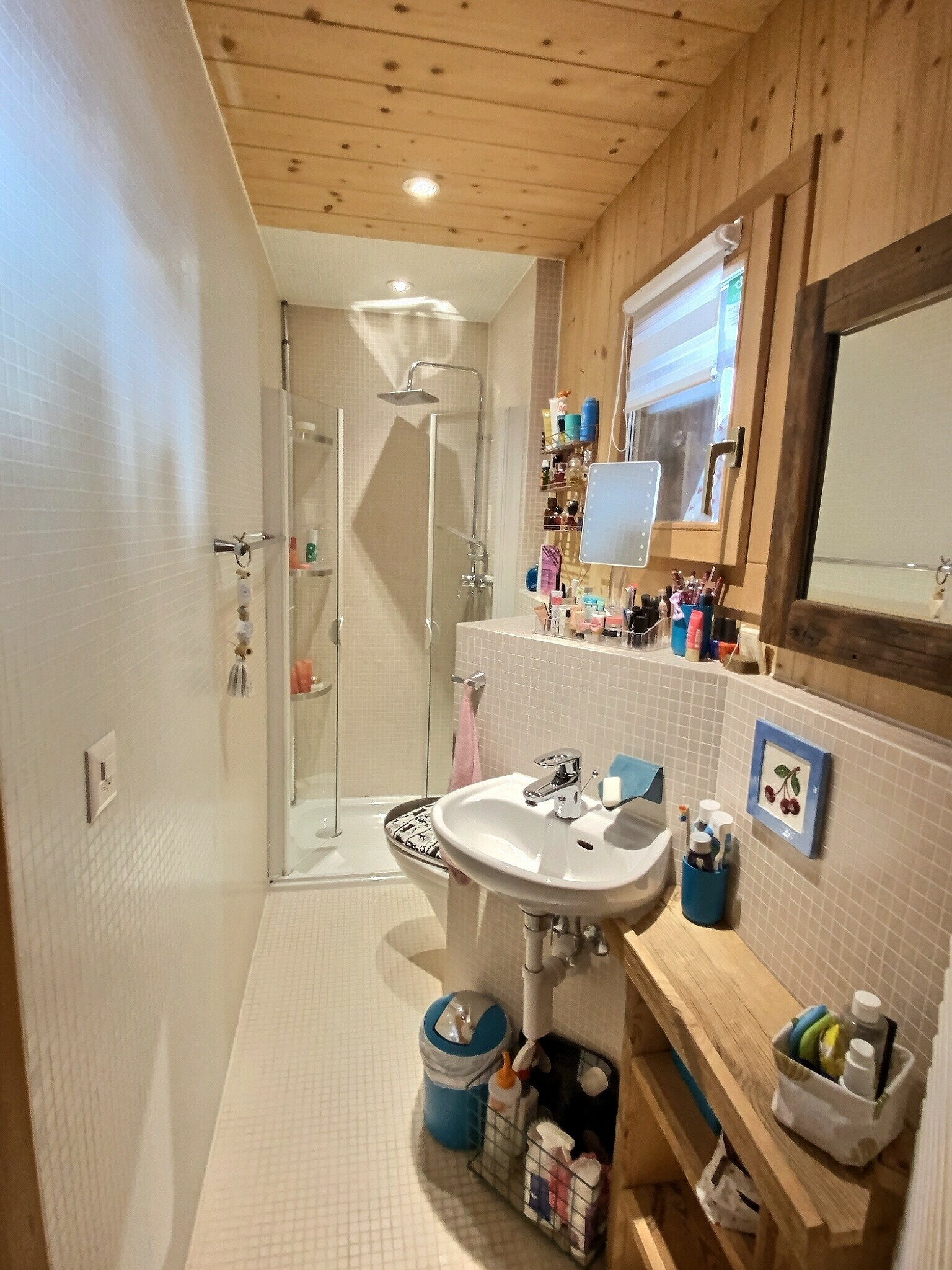 Kleines Badezimmer mit Dusche und Waschplatz