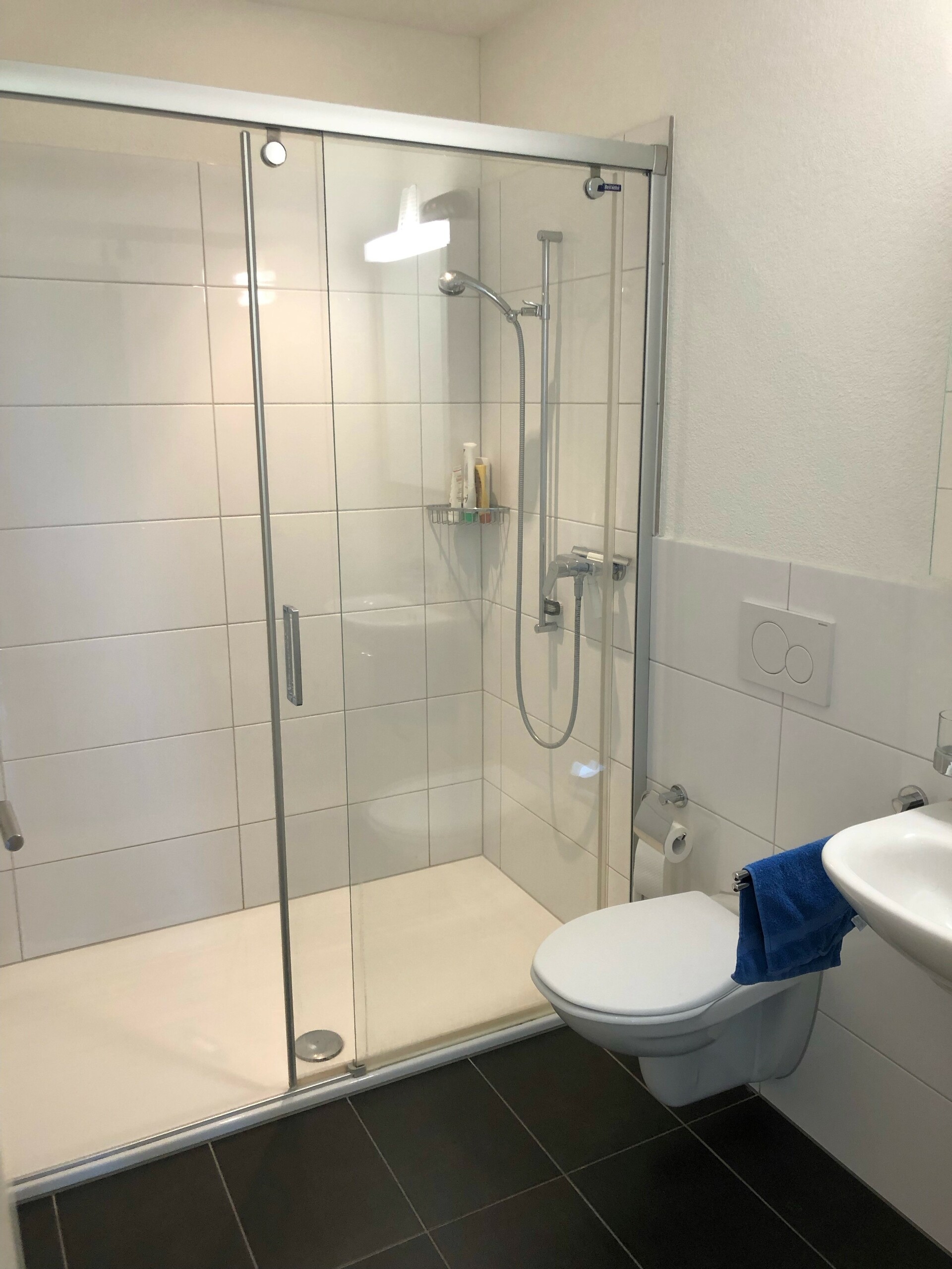 Modernes Badezimmer mit Glasdusche und WC