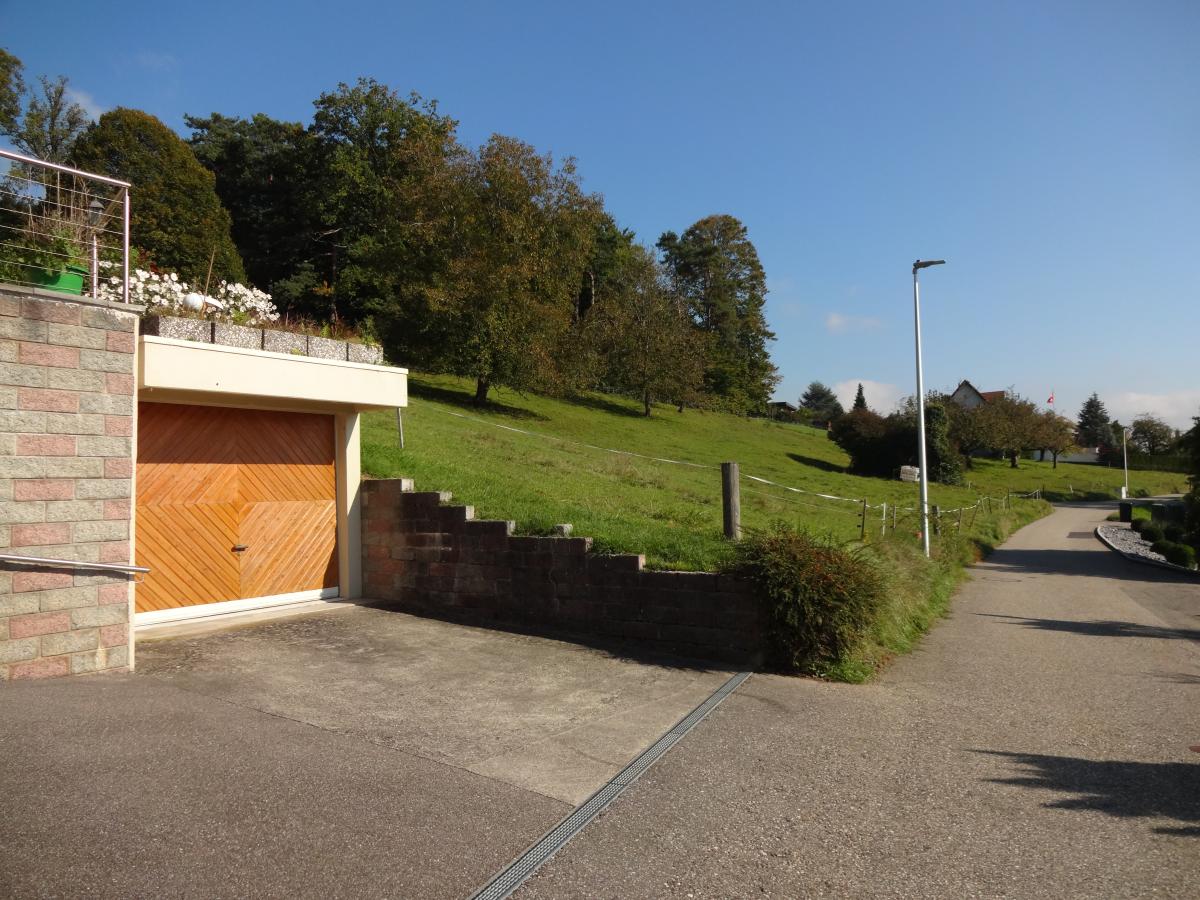 Zufahrt mit Garagentor und Hanglage