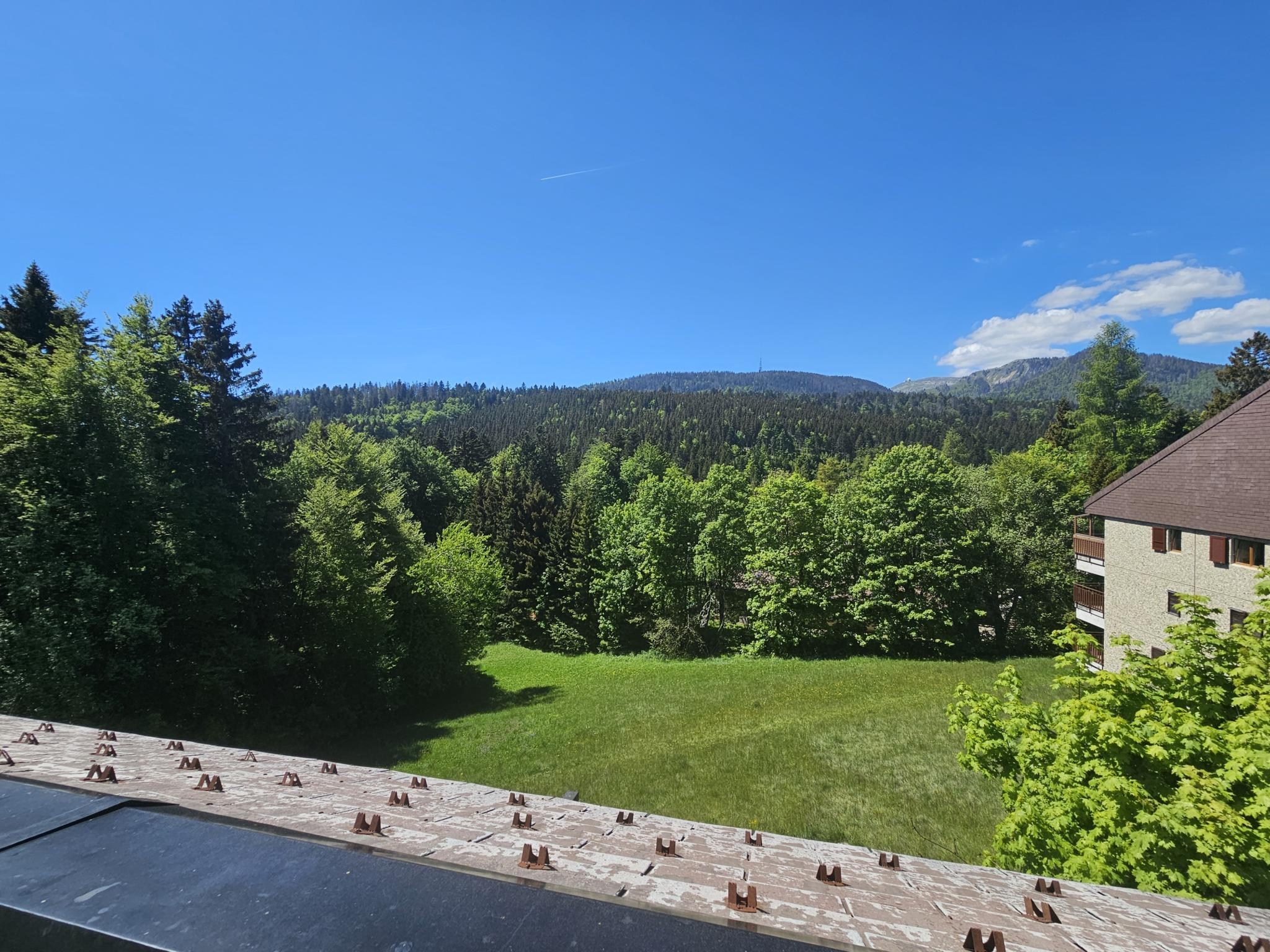 Bergblick mit Grünfläche und Gebäude