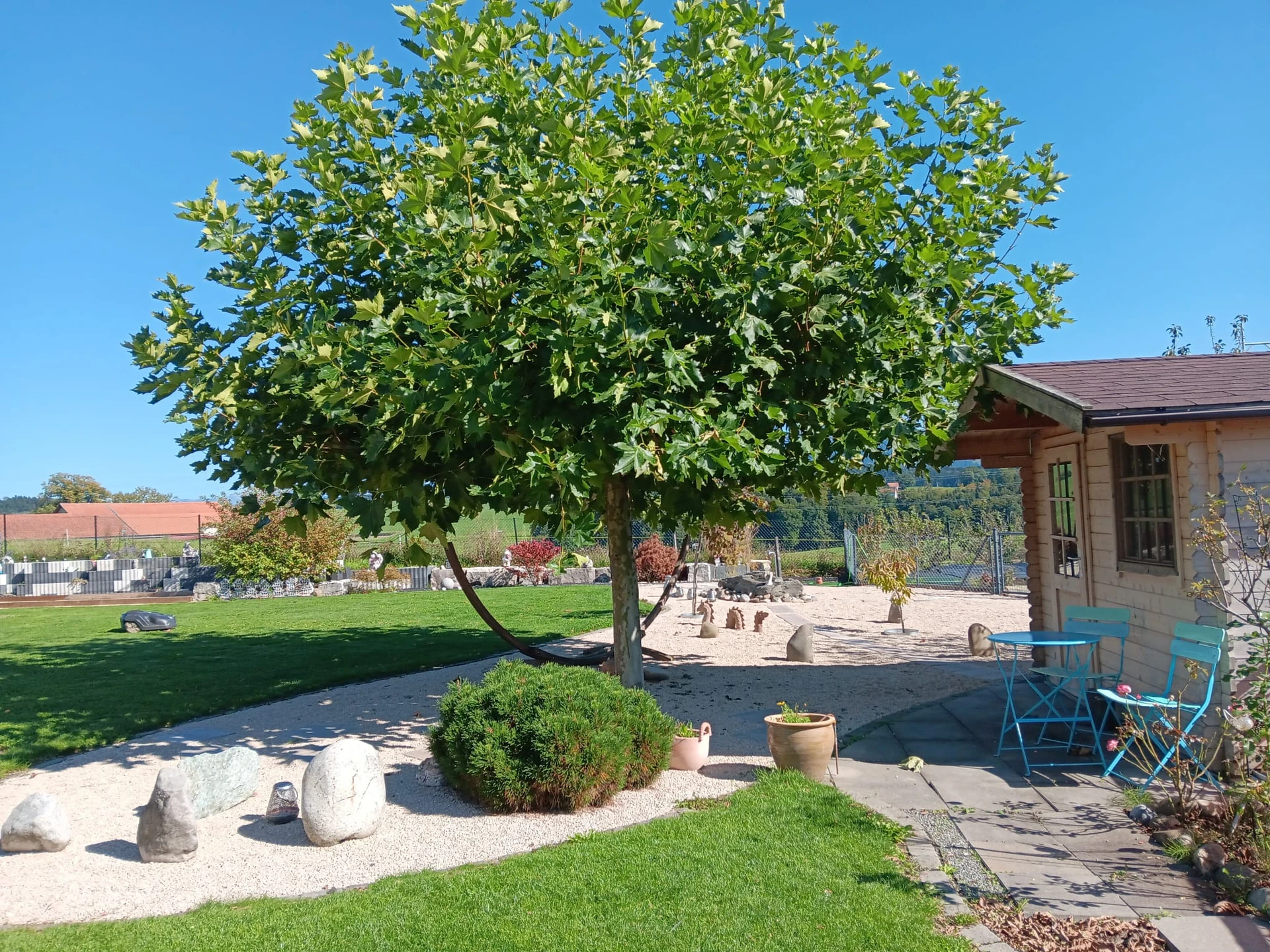 Gepflegter Garten mit Gartenhaus und Terrasse