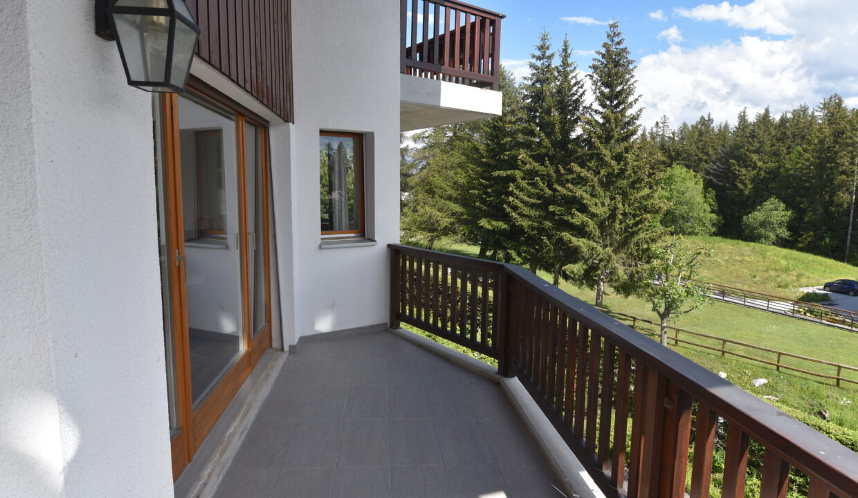 Balkon mit Blick ins Grüne