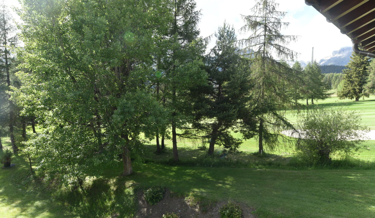 Blick ins Grüne
