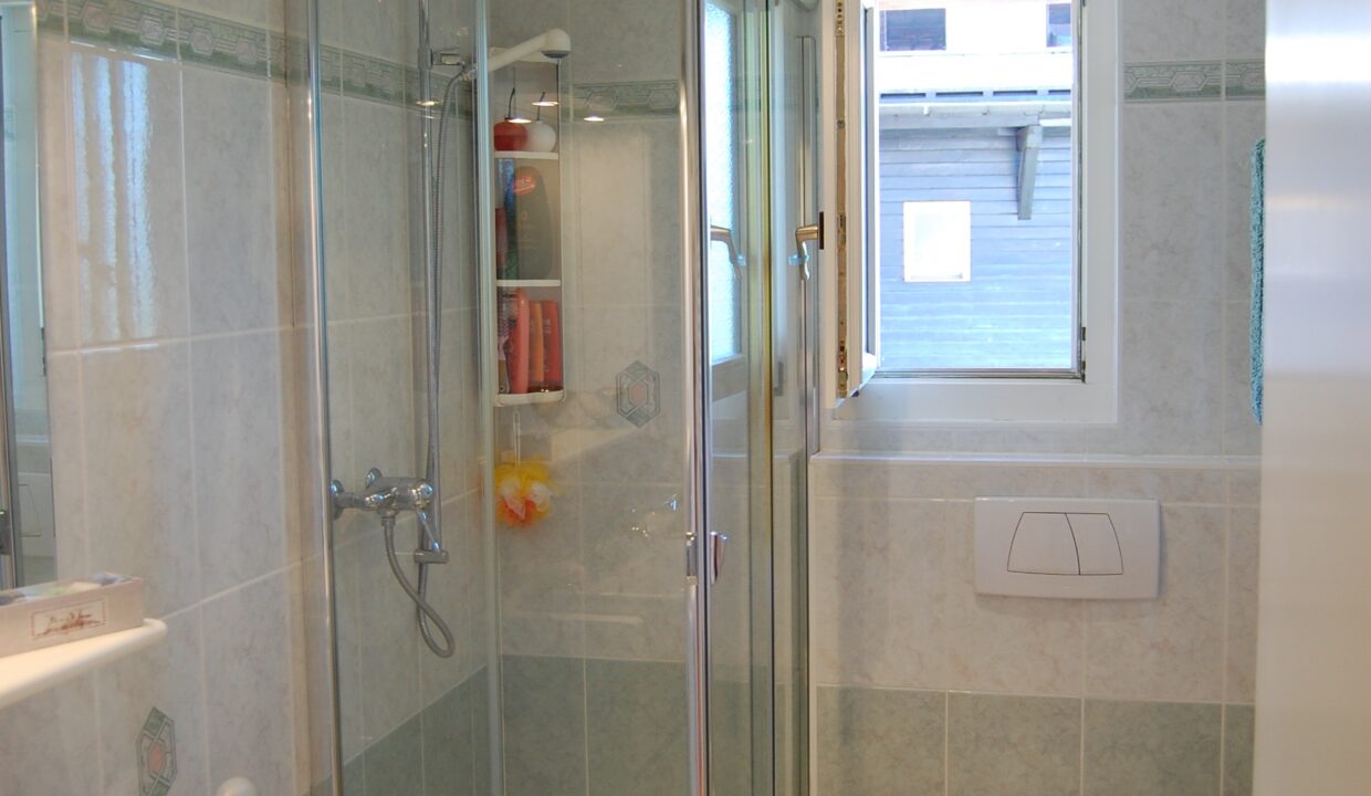 Badezimmer mit Dusche und Fenster